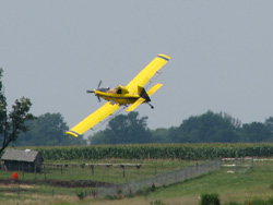 Plane support