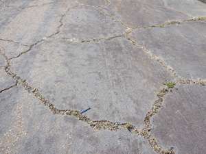 Photo showing a close-up of a wide and severely spalled crack in the asphalt surface.