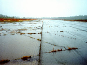 Overview photo of an apron pavement with a uniform rectangular pattern of high-severity           transverse and longitudinal cracks. The pattern is the result of cracks that have reflected through the asphalt surface at the joints of the PCC slabs below. In the photo, the cracks appear to be           very wide, and most have grass growing in them.