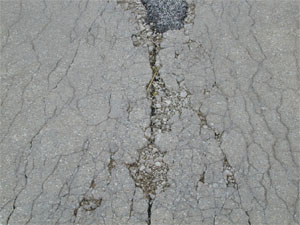 Close-up photo of a transverse joint with high-severity D-cracking. The photo shows D-cracking at a good distance away from joint, and many of the cracks within the D-cracking pattern are spalled.