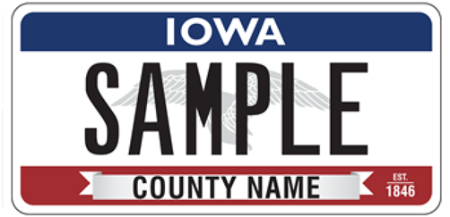 Flying our Colors Plate