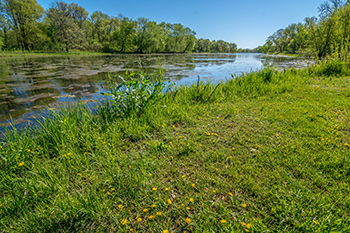 Spring Day in Iowa